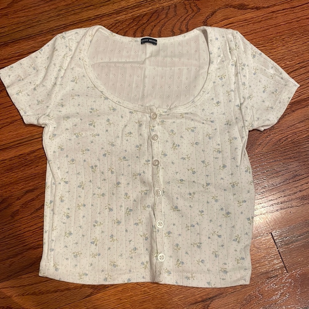 Brandy Melville Floral Zelly Top - Blue Flowers
